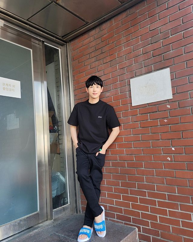 idol aktor, kpop idol, aktor korea selatan