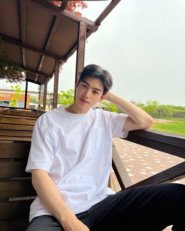 idol aktor, kpop idol, aktor korea selatan