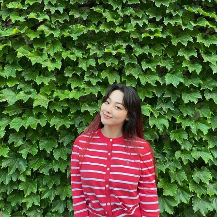 kpop idol, kpop idol yang juga aktris, idol-actress