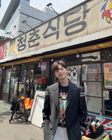 idol aktor, kpop idol, aktor korea selatan