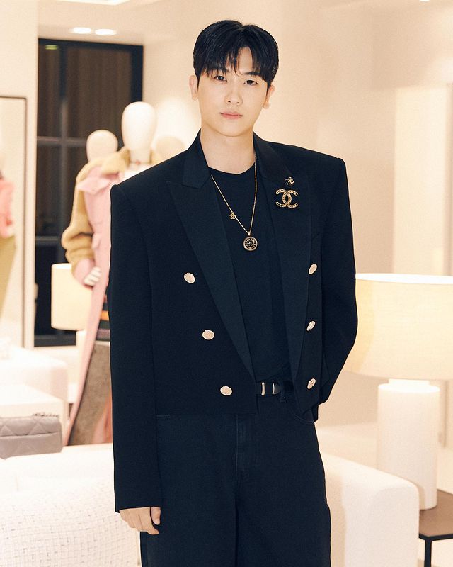 idol aktor, kpop idol, aktor korea selatan