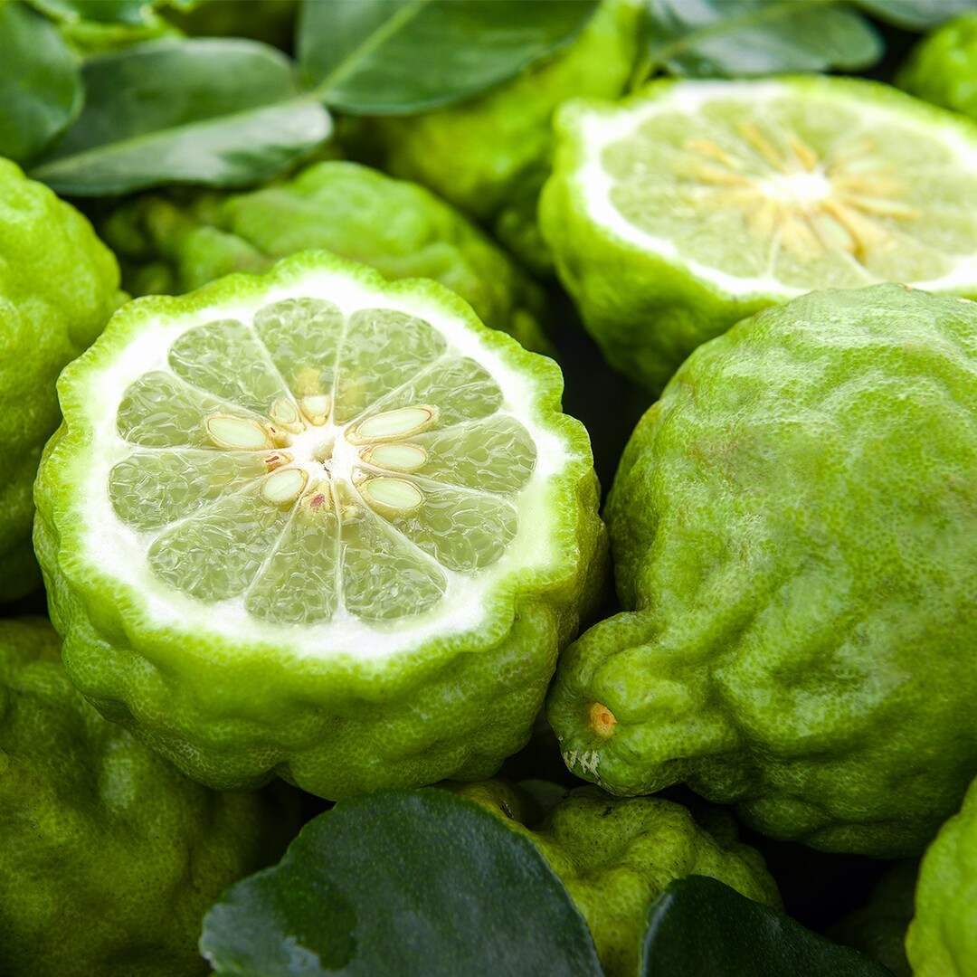 Essential Oil, Jeruk, Bergamot
