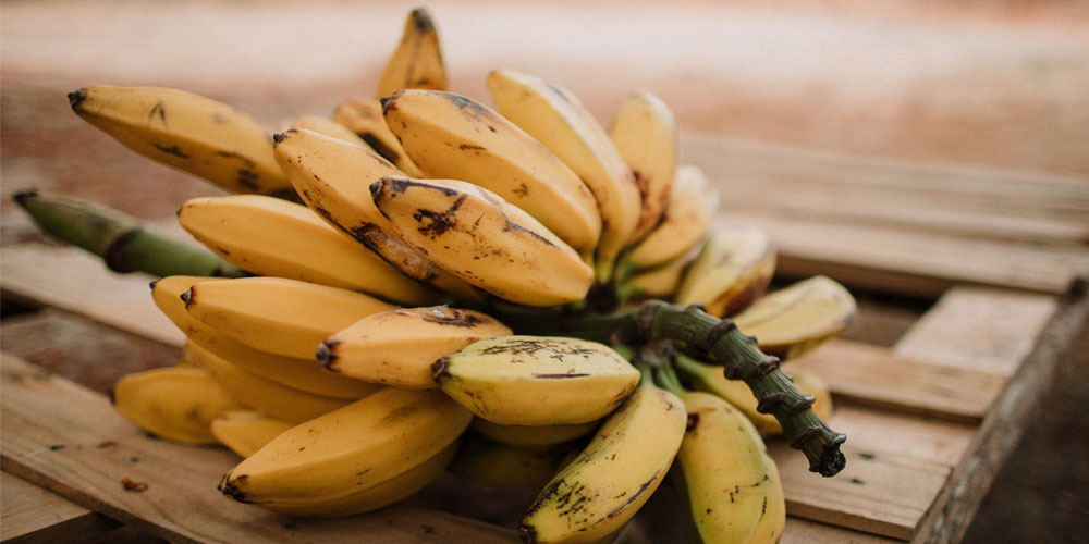 Buah Pisang