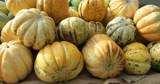 5 Buah dengan Kandungan Vitamin A, Mampu Menjaga Imun Tubuh