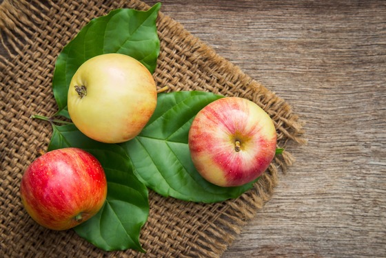 5 Buah dengan Kandungan Vitamin A, Mampu Menjaga Imun Tubuh