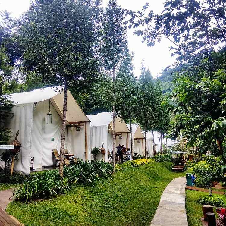 Glamping, Tent, Liburan, Camping, Glamour, Rekomendasi, Tempat, Wisata