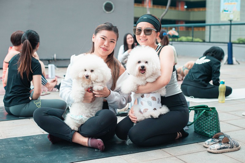Beyond Bliss Yoga & Pilates with Dogs, Tufting & Adoption Day di Ascott Jakarta