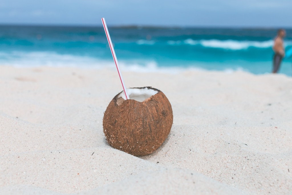 buah yang bisa bikin bibir merah alami, kelapa