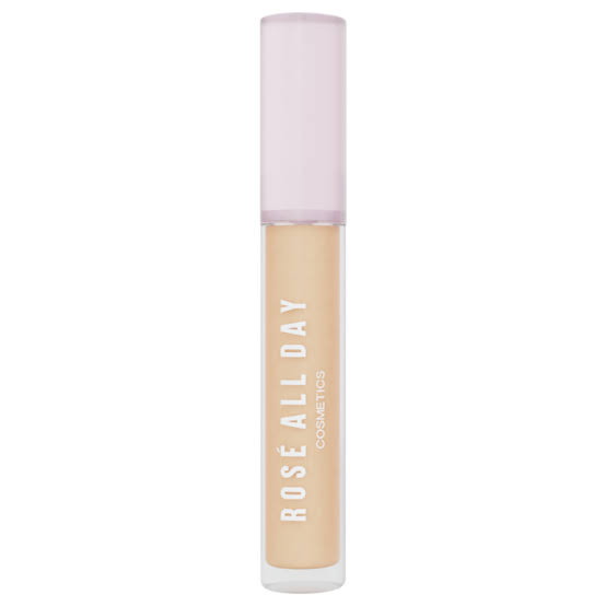 concealer full coverage, full coverage, concealer, esca, maybelline, rose all day, loreal, focallure, BLP beauty