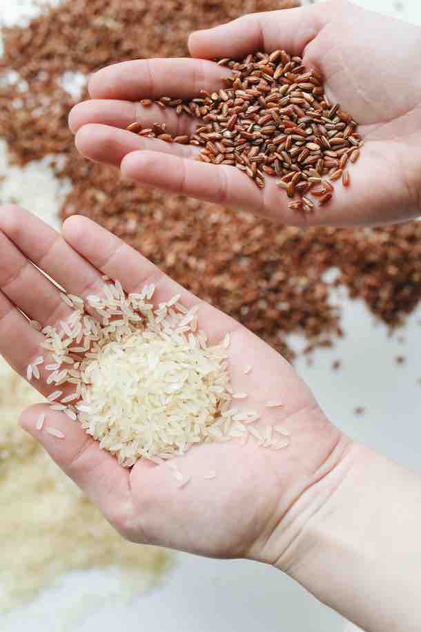 asupan dengan kandungan karbohidrat yang tinggi, karbohidrat tinggi, karbohidrat, makanan karbohidrat tinggi