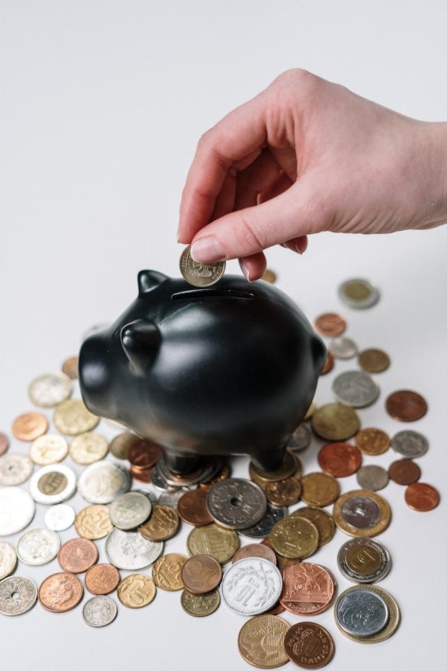 manfaat dengan menabung sejak dini, menabung, menabung sejak dini, saving money