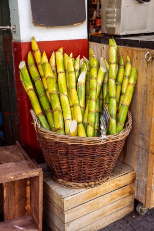 manfaat tebu untuk kesehatan, tebu, kesehatan, sugarcane, manfaat tebu