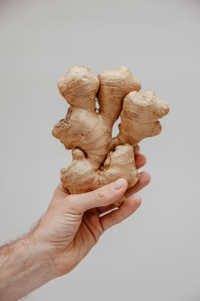 manfaat ginger shot untuk tubuh agar lebih sehat, manfaat ginger shot, ginger shot, jahe, manfaat jahe
