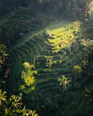 destinasi yang cocok untuk healing sendiri, destinasi untuk healing, healing