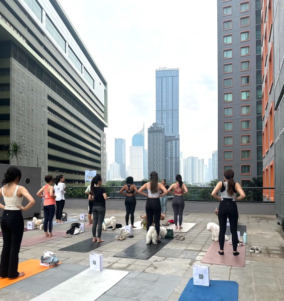 Beyond Bliss Yoga & Pilates with Dogs, Tufting & Adoption Day di Ascott Jakarta