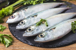 Hati-hati, 5 Ikan Ini Memiliki Kolesterol Jahat