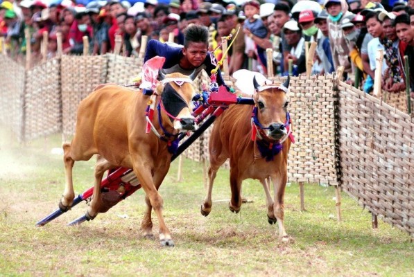Seru & Uji Kompak, Ini 6 Olahraga Tradisional Khas Indonesia