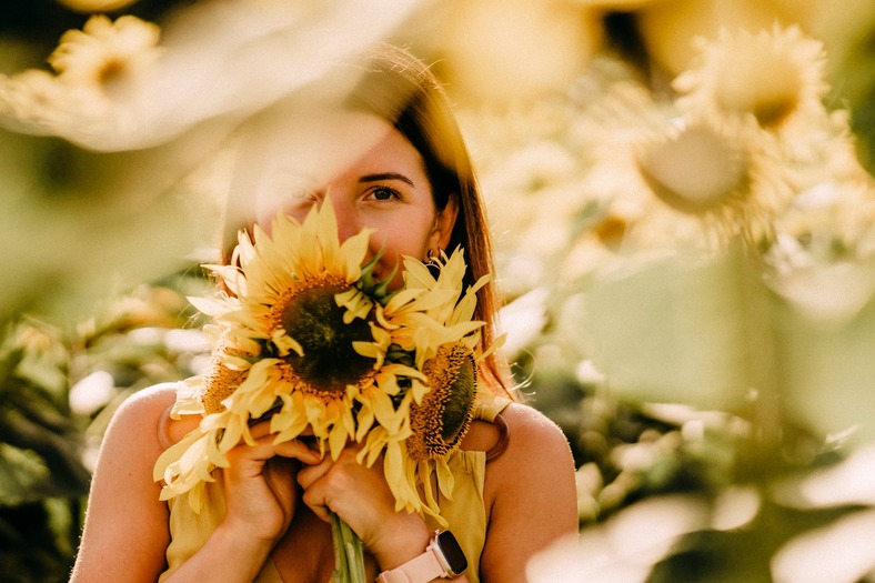 Makna Bunga Matahari, Sunflower