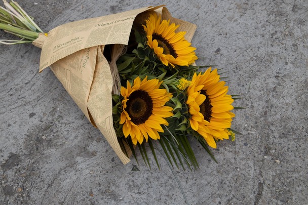 Makna Bunga Matahari, Sunflower