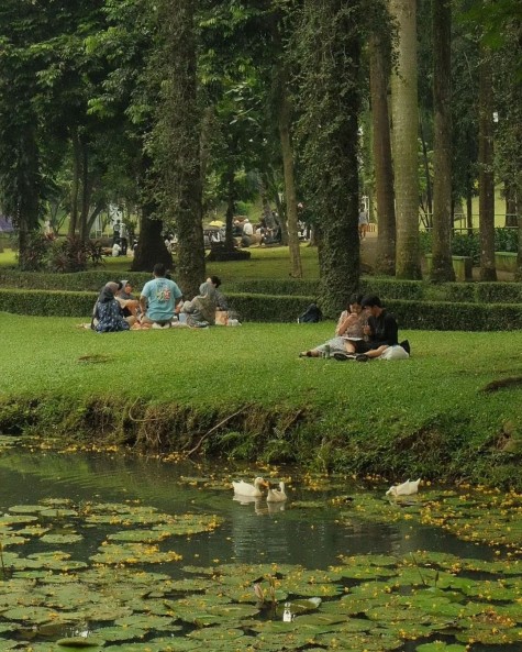 taman yang cocok untuk piknik di jakarta, taman langsat