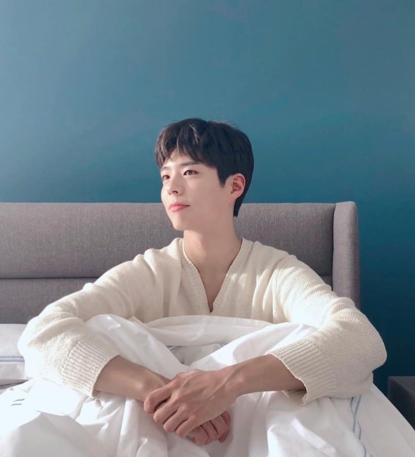 Fakta-fakta Park Bo Gum 