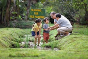 wisata singapura