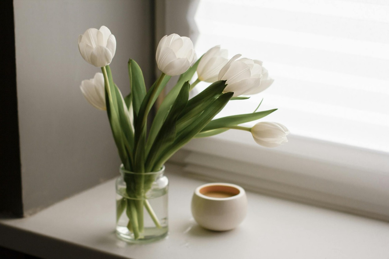 Intip Arti Dari Masing-Masing Warna Bunga Tulip, Yuk!