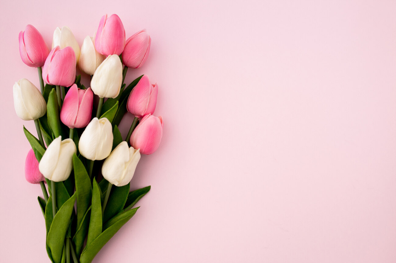 5 Makna Memberikan Bunga Tulip Untuk Kekasih