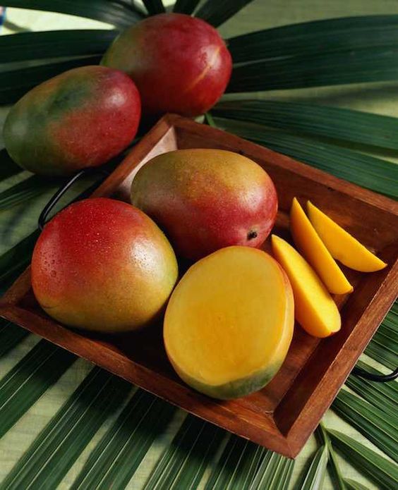 5 Buah Yang Mengandung Vitamin E, Efektif Menjaga Kesehatan