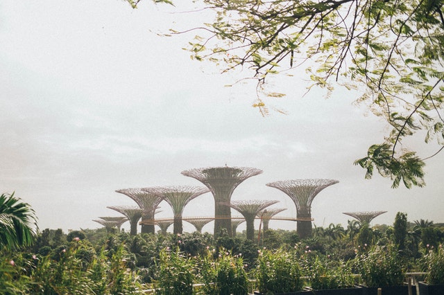 negara paling aman bagi wanita untuk solo travelling