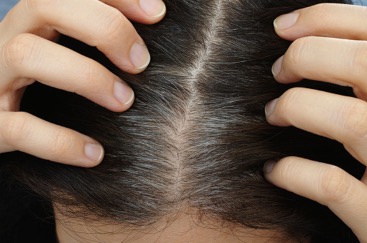 manfaat avocado oil untuk kesehatan rambut