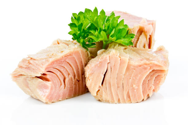 makanan berprotein tinggi 