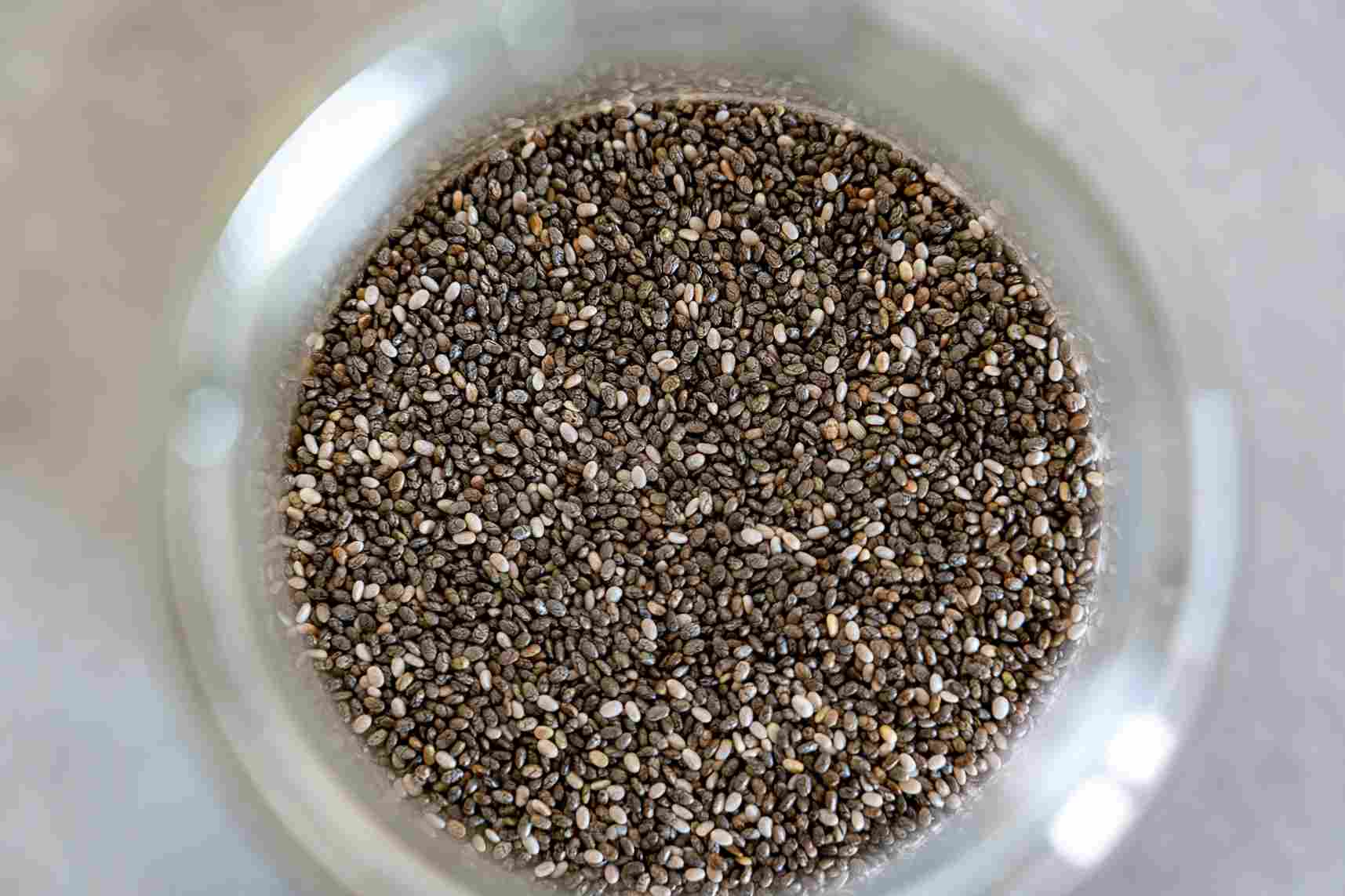 Chia seed. Protein nabati. Sumber protein. Makanan berprotein.