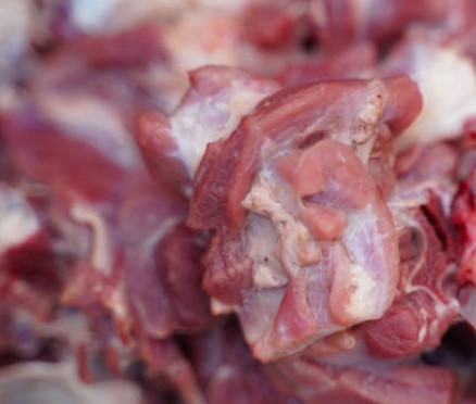 manfaat daging kambing 