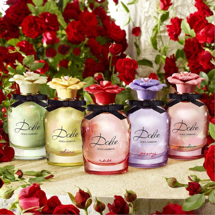 dolce rose