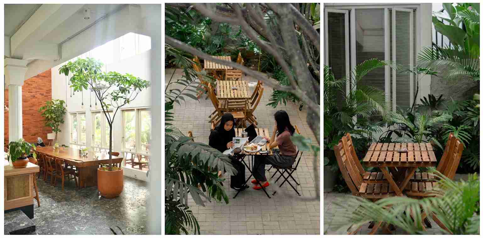 Sehela Space, Wellness 