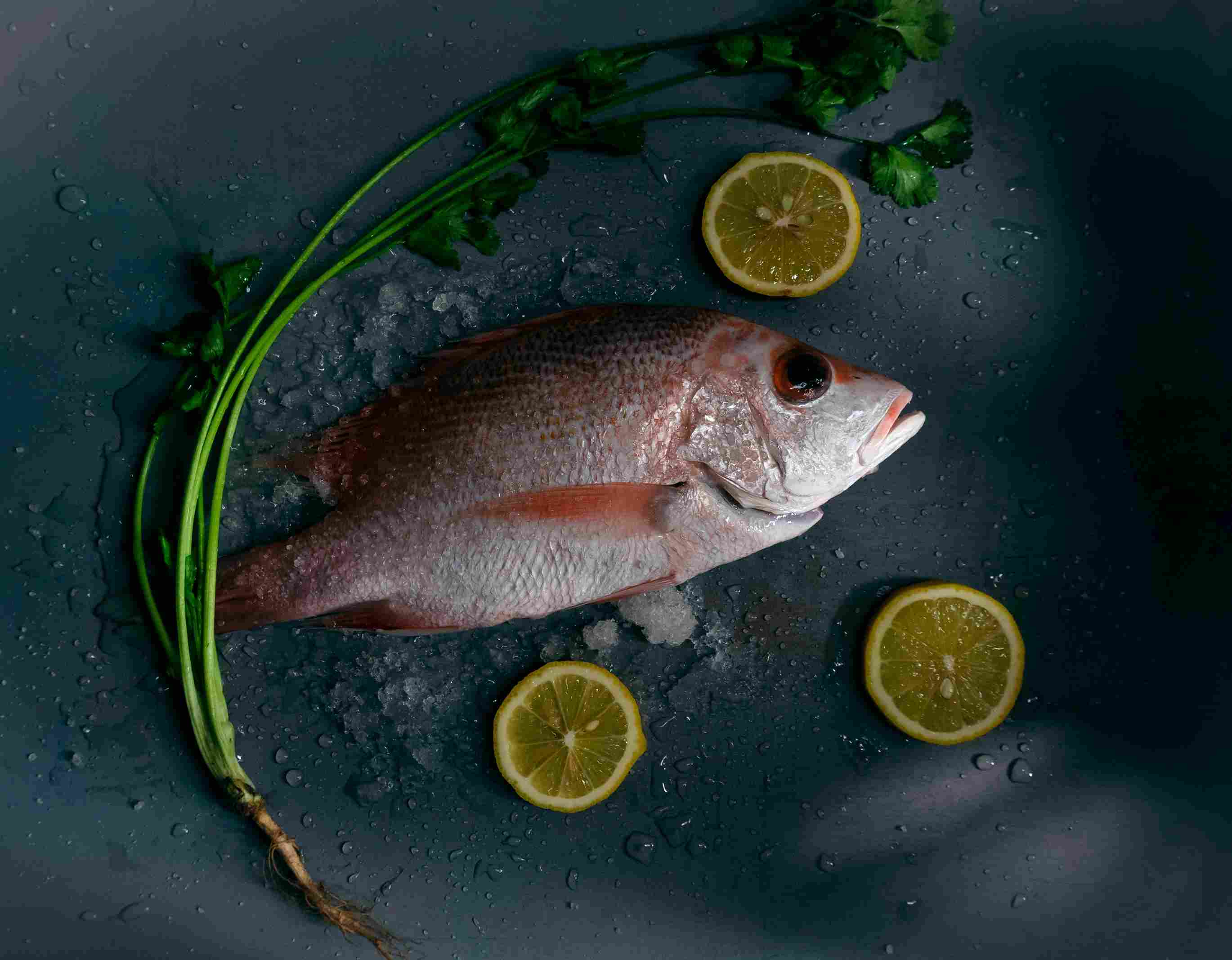 Ikan kakap putih. Makanan tinggi protein rendah lemak. Sumber protein.