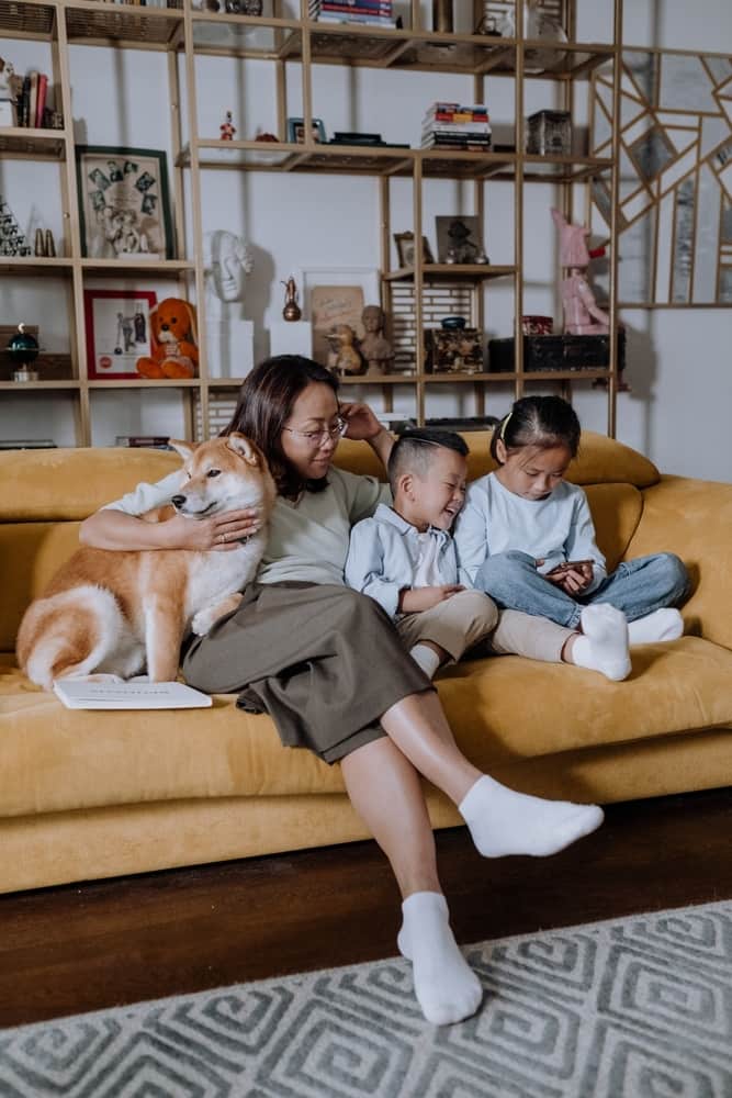 kekerasan seksual anak