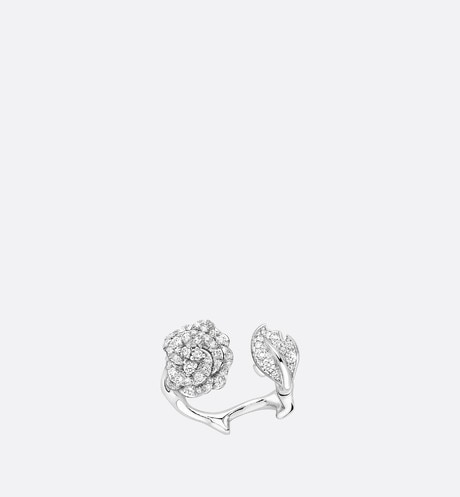 la rose dior