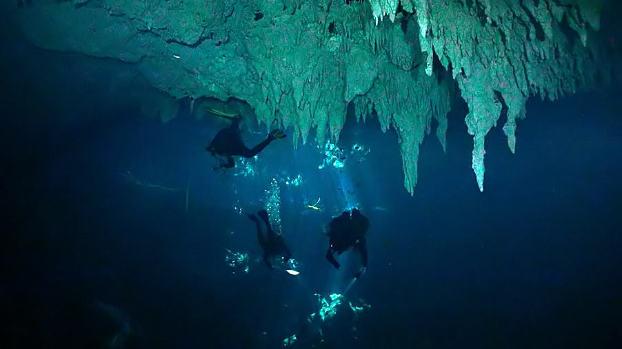 diving, scuba, cave diving, razor, menyelam, gua, stalaktit, Indonesia, alam, laut, terumbu karang, harness, reef