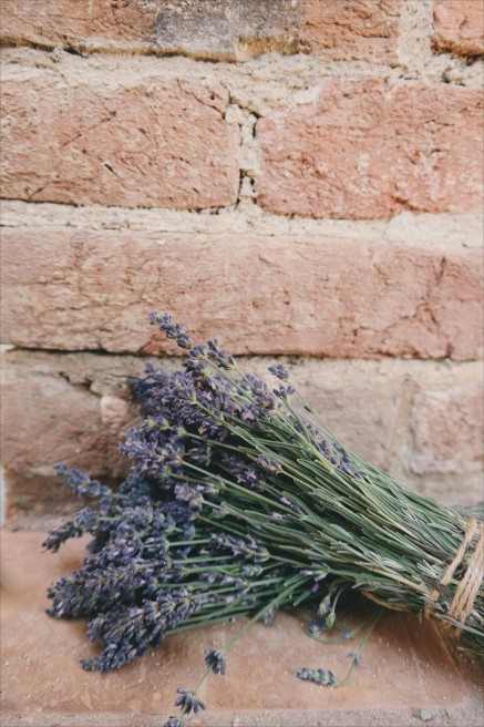 makna bunga lavender, bunga, lavender, bunga lavender, arti bunga lavender