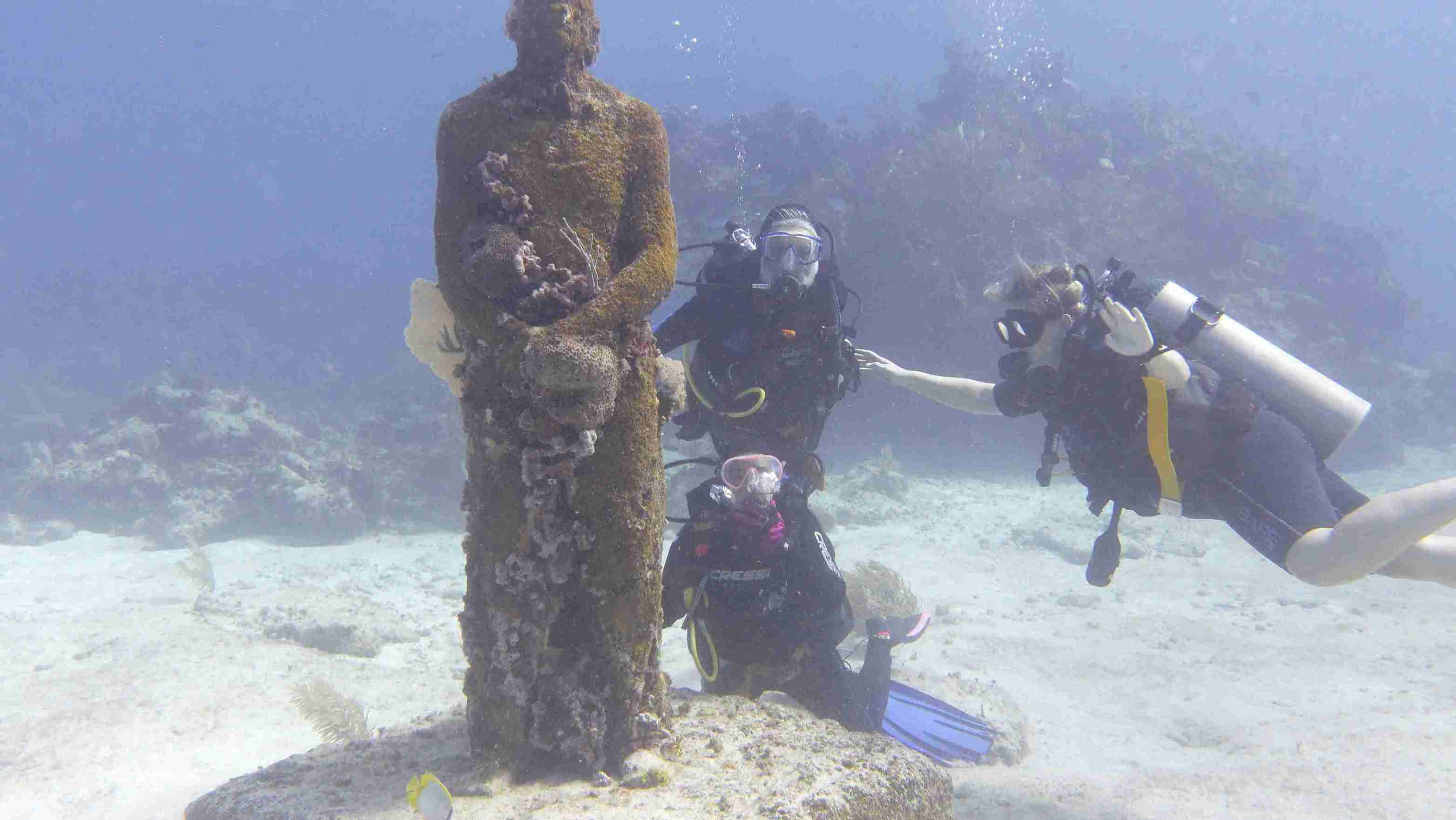 perbedaan scuba diving dan diving, penyelam scuba, penyelam, free diving, snorkeling