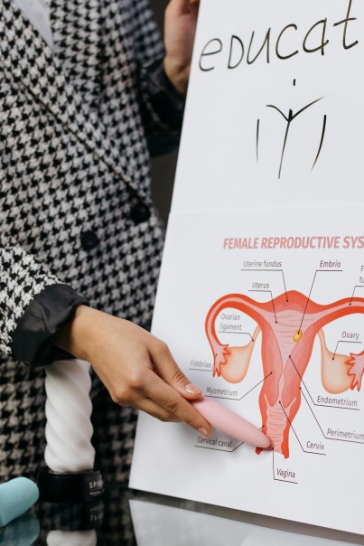 ciri rahim sehat bagi para wanita, rahim yang sehat, rahim wanita, ciri rahim wanita yang sehat