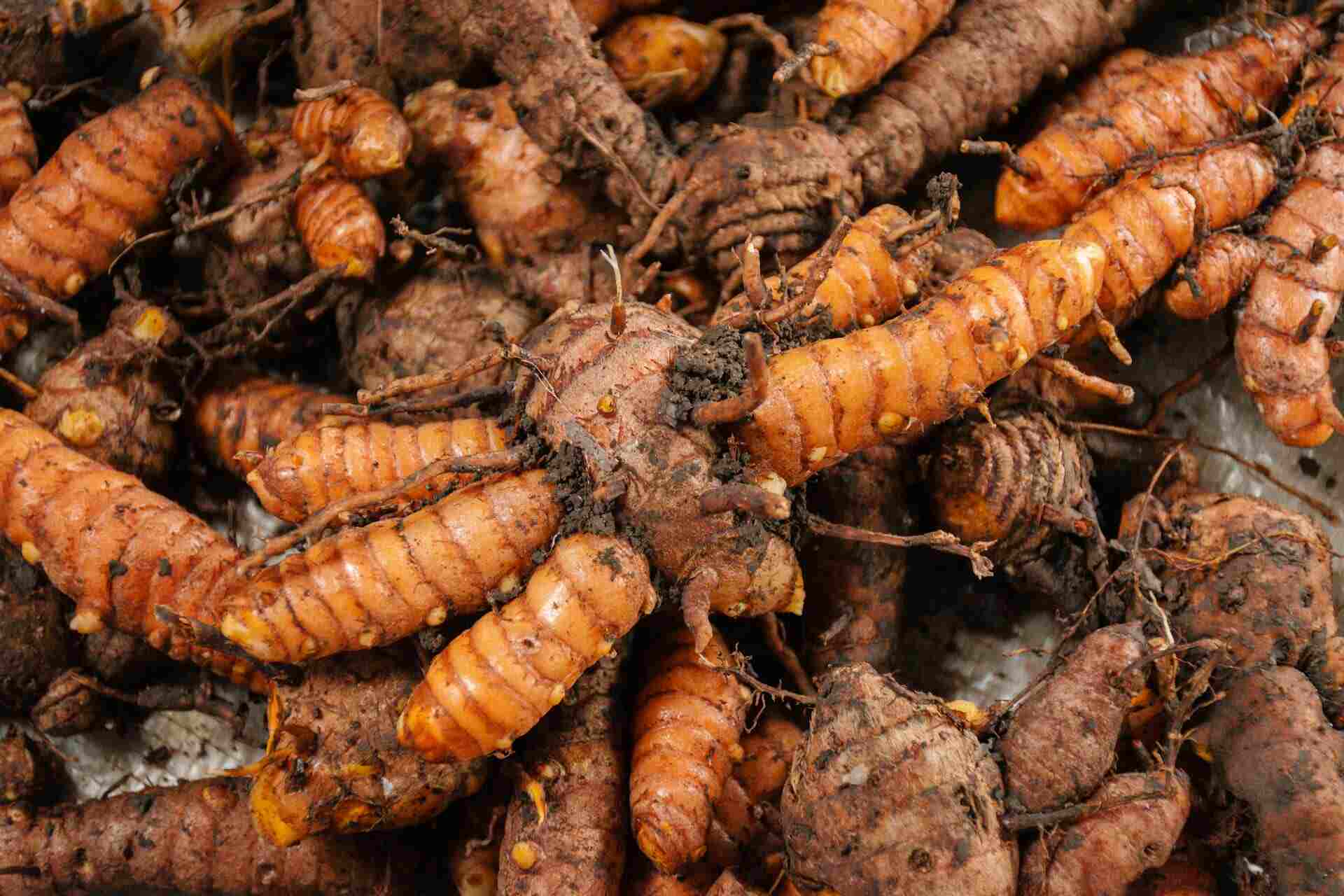 Jamu, Daya Tahan Tubuh, Kesehatan, Manfaat, Tips, Cara, Kunyit, Asam Jawa