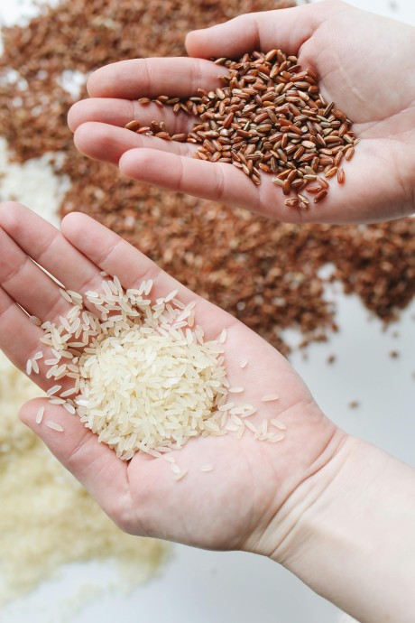 manfaat ekstrak dari nasi untuk kulit, ekstrak nasi, manfaat ekstrak nasi, manfaat nasi, manfaat nasi untuk kecantikan
