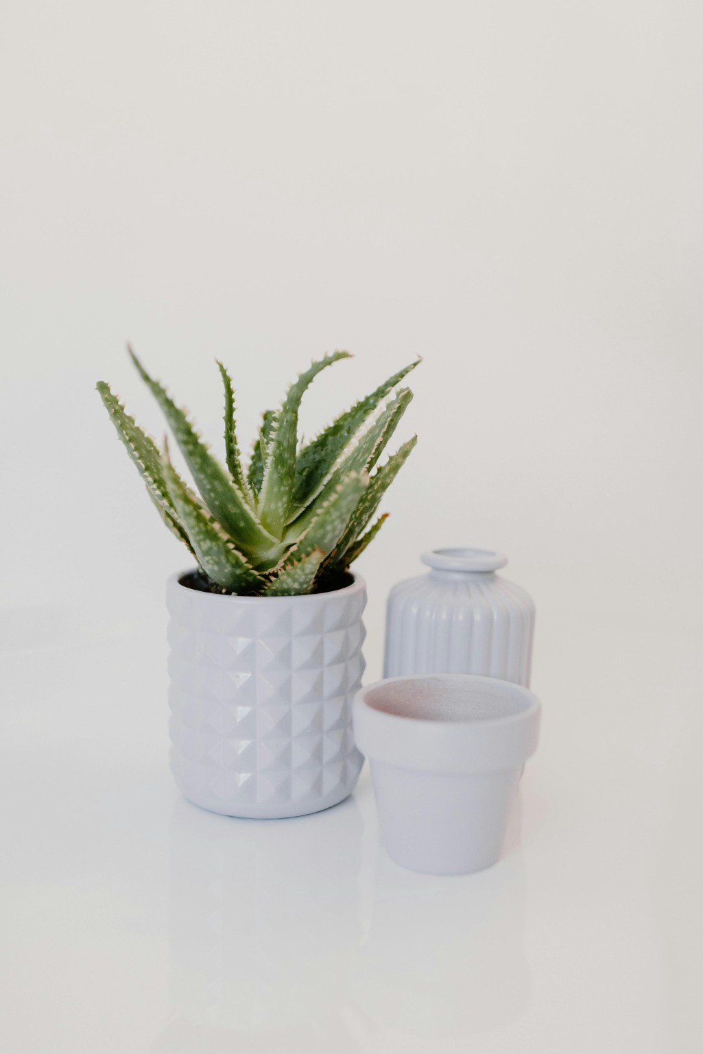 melembapkan wajah, aloe vera, hidrasi kulit, kulit wajah, kulit lembap