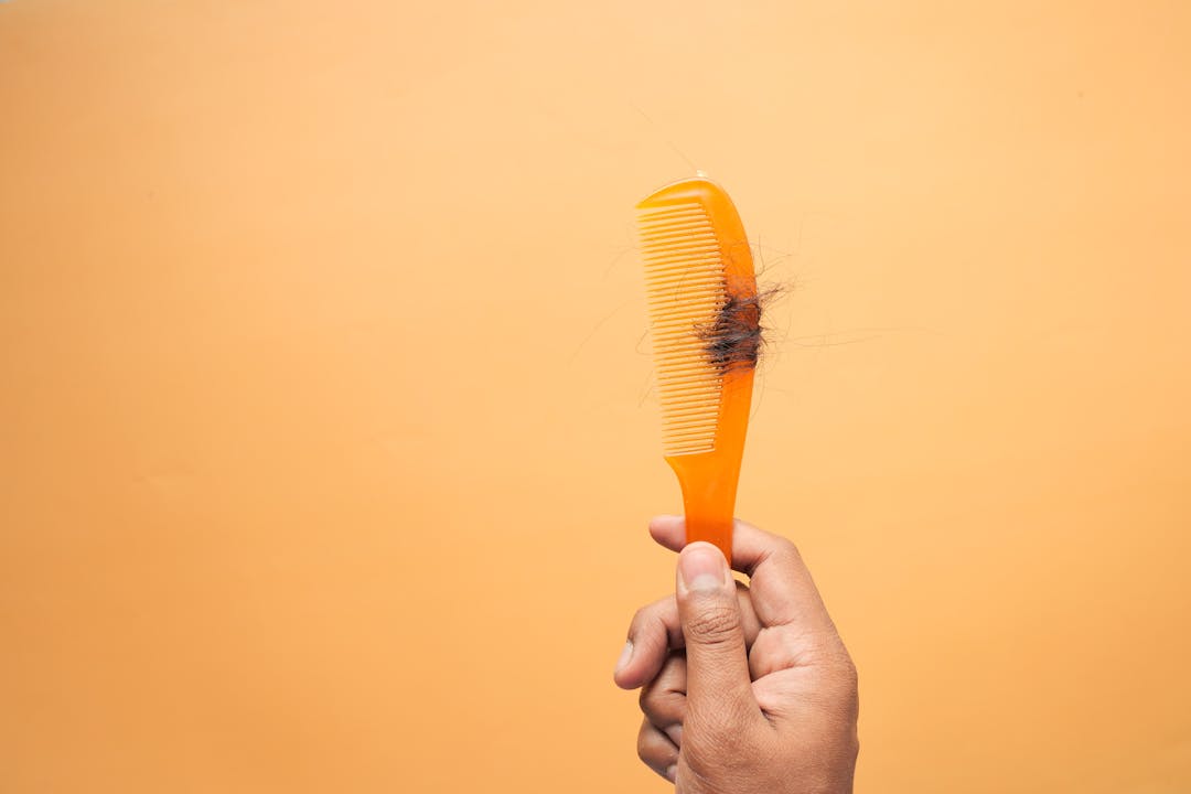 Minyak Argan, Argan, Minyak, Rambut, Kesehatan, Manfaat, Kulit, Kepala