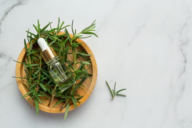 Kenali Manfaat Rosemary Oil Untuk Kecantikan