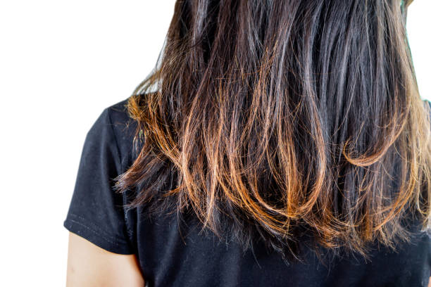 smoothing rambut