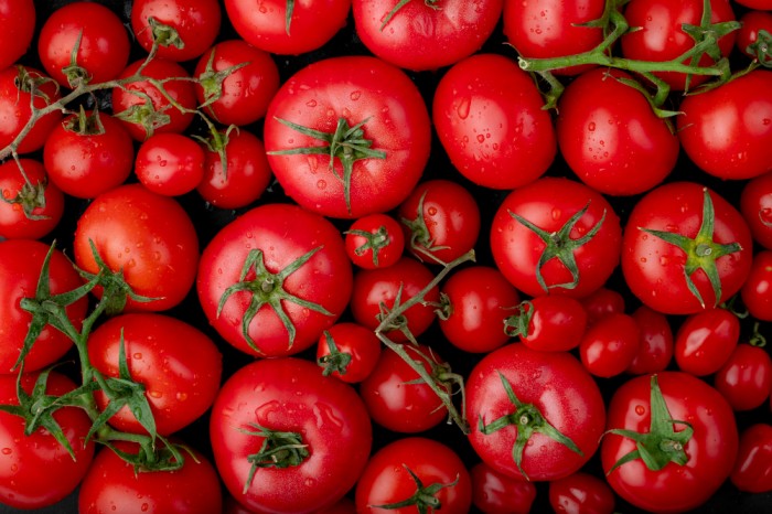 Kandungan asam dan pH rendah tomat sebabkan bau